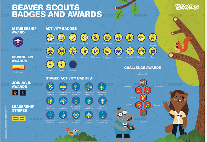 All the Beaver Badges